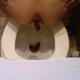 An overhead spy cam records a woman taking a big shit into a toilet and then wiping herself. The video is good, but there is only static noise for audio, so you cannot hear the action.